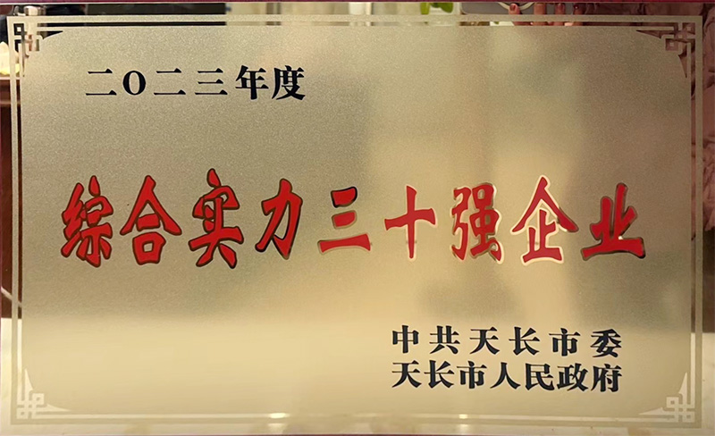 綜合實力三十強企業(yè)